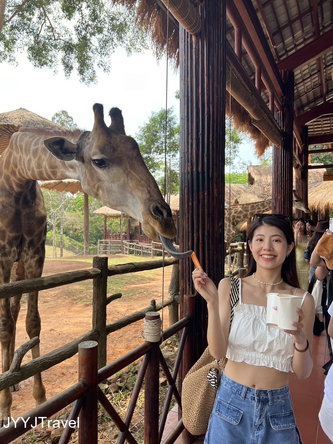 野生動物園2