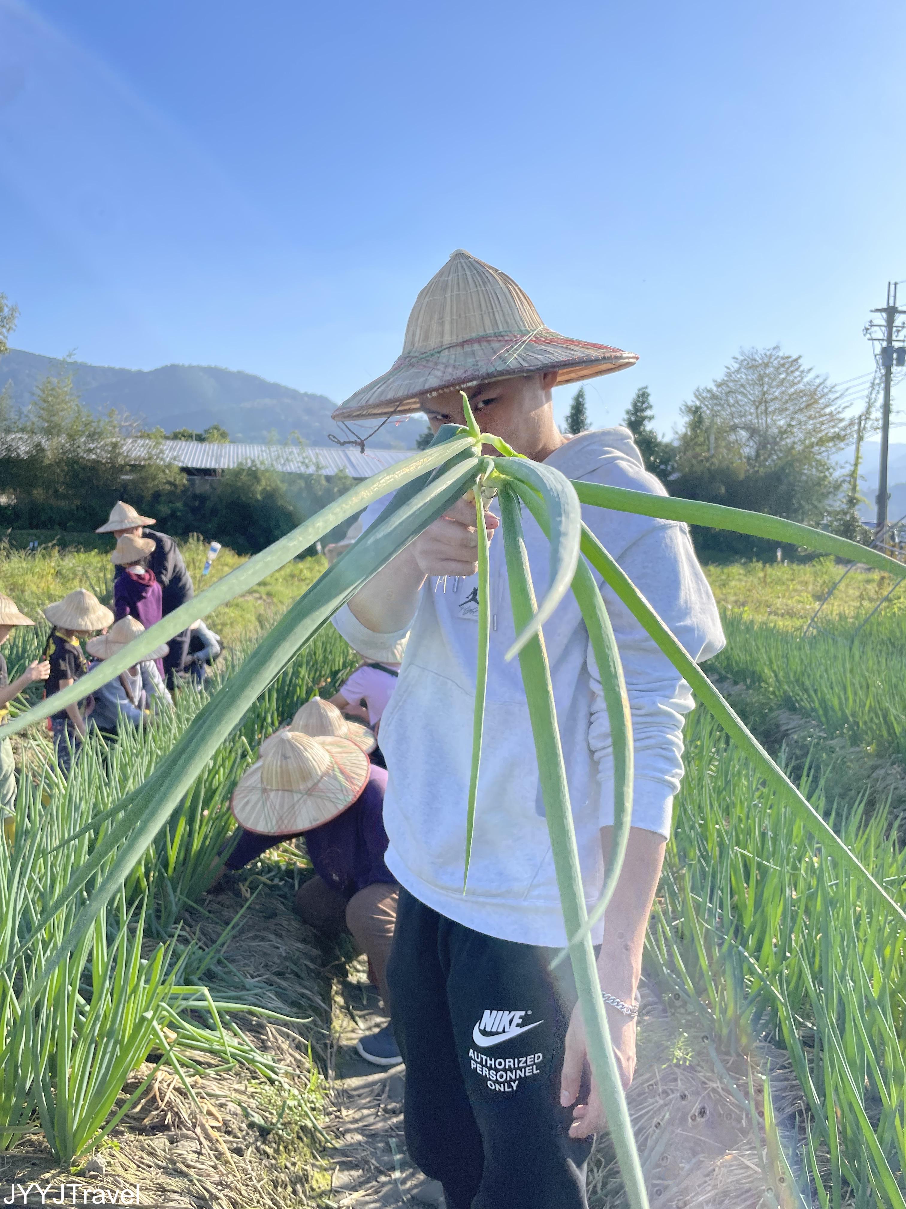 星寶蔥體驗農場2