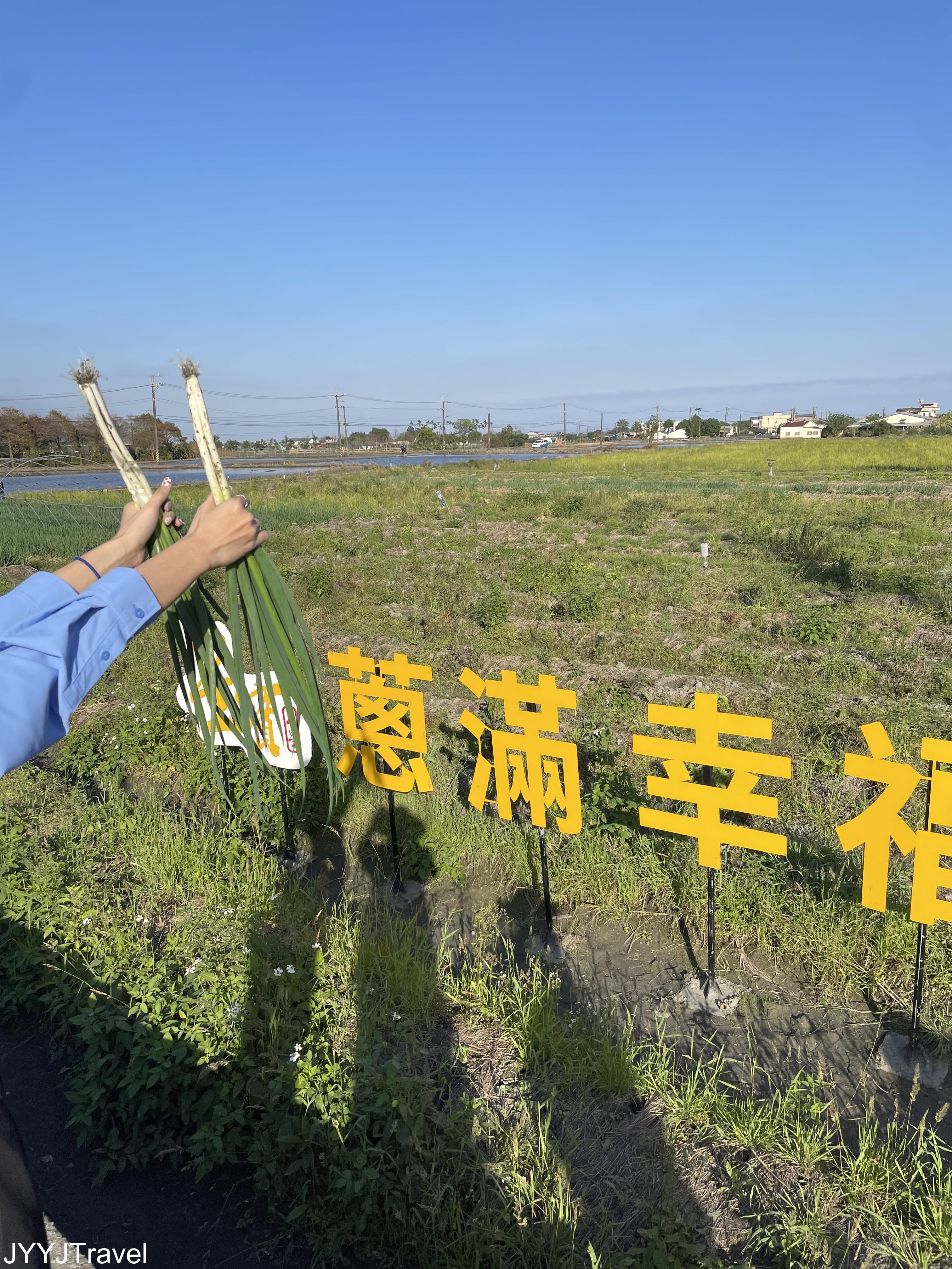 星寶蔥體驗農場1